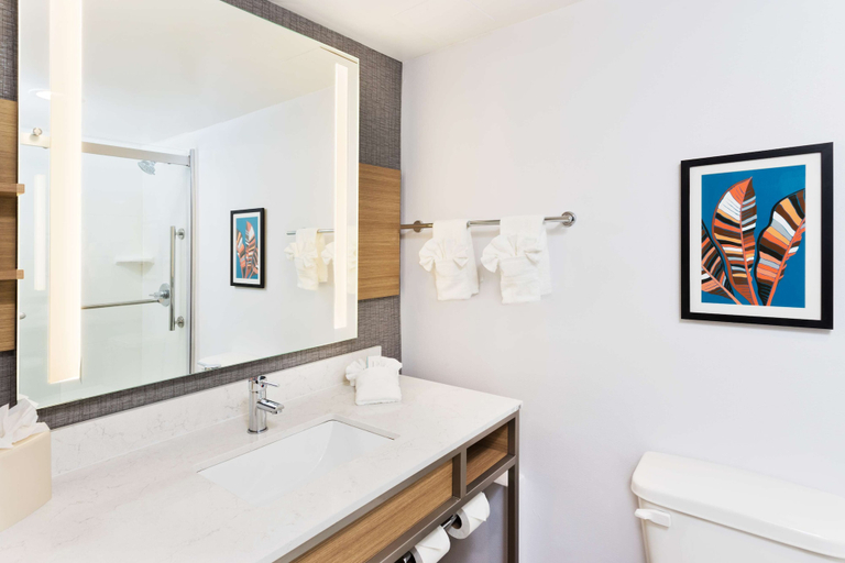 Bathroom 4, Hilton Garden Inn Birmingham/Lakeshore Drive, Jefferson