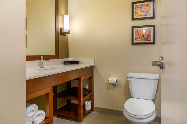 Bathroom 4, Comfort Inn & Suites Gap Amish Country, Lancaster