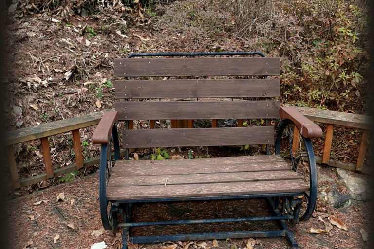 Others 5, Pine Aroma Pension, Chuncheon