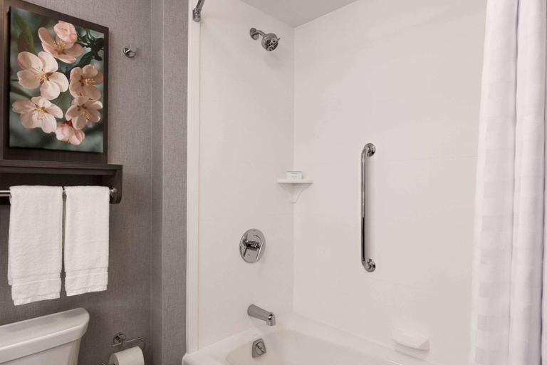 Bathroom 4, Homewood Suites by Hilton Washington/Convention Ce, Washington D.C.