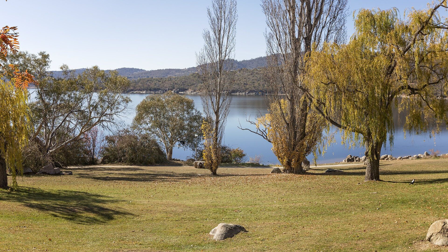 Others 5, Grey Kangaroo- On Lake Jindabyne foreshore, Snowy River