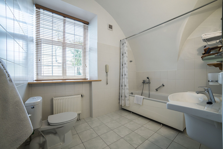 Bathroom 5, Shakespeare Boutique Hotel, Vilniaus