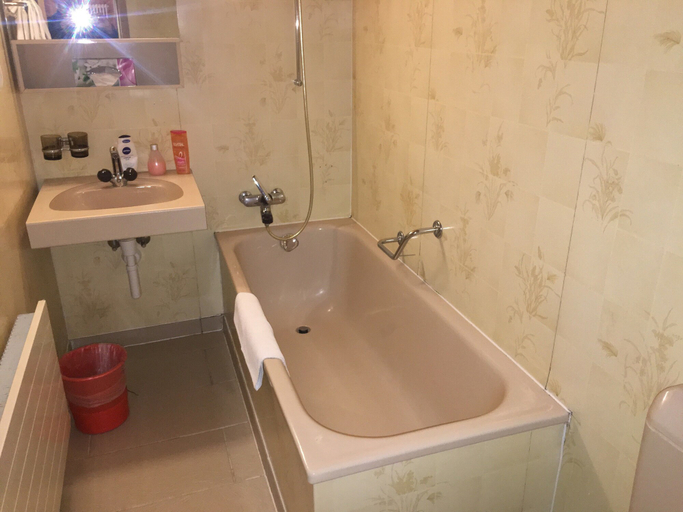 Bathroom 5, Historic Hotel Steinbock, Interlaken