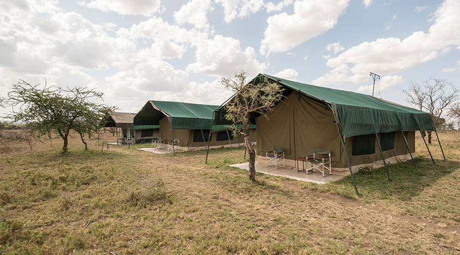 Serengeti Wild Camps, Serengeti