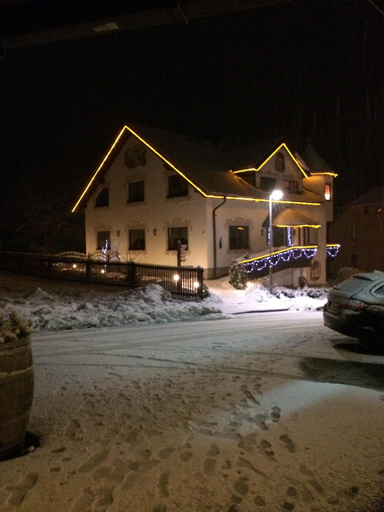 Exterior & Views 2, Hotel Alpenhof Das klingende Gasthaus, Vogtlandkreis