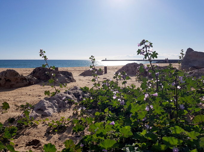 Others 4, Albufeira Ocean View by Rentals in Algarve (62), Albufeira