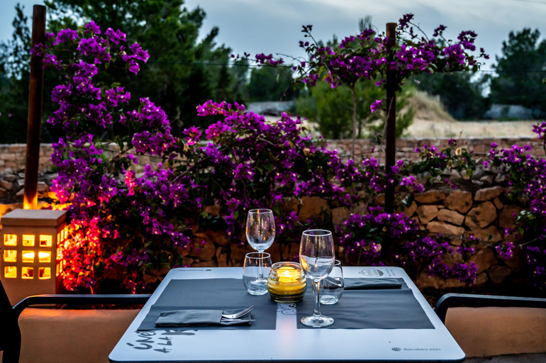 Food & Drinks 4, Bungalow Es Pins, Baleares
