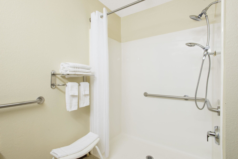 Bathroom 4, Microtel Inn & Suites by Wyndham Seneca Falls, Seneca