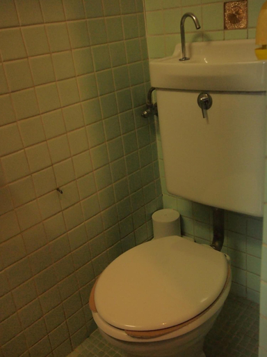 Bathroom 3, Ishiba Ryokan, Hirosaki