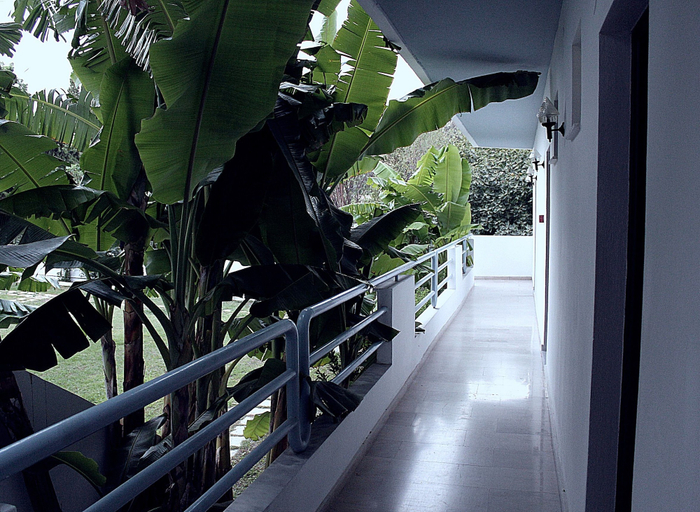 Others 5, Elga Hotel, South Aegean