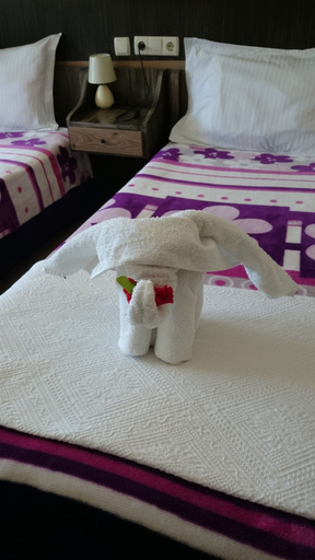 Bedroom 3, Wallabies Aquaduct Hotel, Selçuk