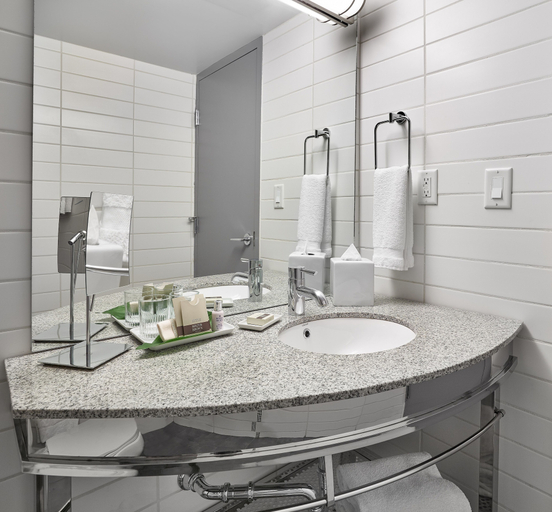 Bathroom 4, Matrix Hotel, Division No. 11