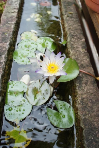Others 5, Cheng-Ping Hot Spring Inn, Taitung