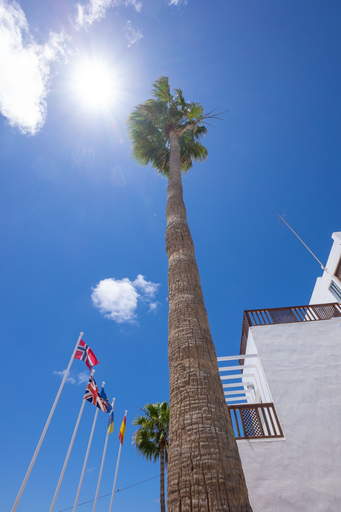 Exterior & Views 2, Vista Mar - SELECT ADULTS (+16), Las Palmas
