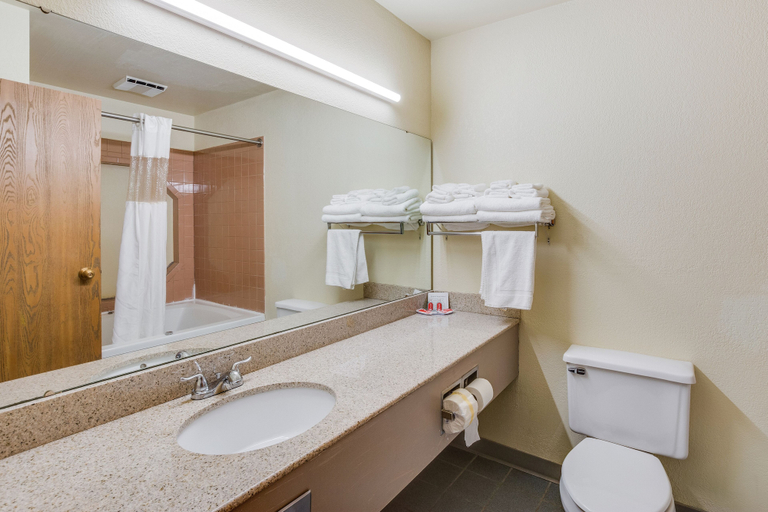 Bathroom 4, Econo Lodge Whitehall near Michigan's Adventure, Muskegon