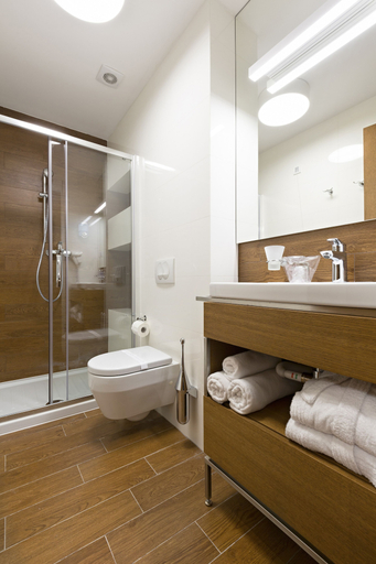 Bathroom 5, Orasac Garni, Belgrade