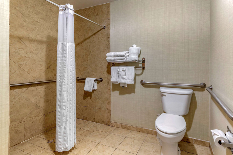 Bathroom 4, Comfort Suites Near Texas A&M University - Corpus Christi, Nueces