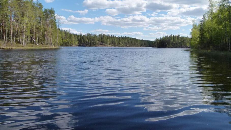 Others 4, Salkolahti Tikkamaki, Pirkanmaa
