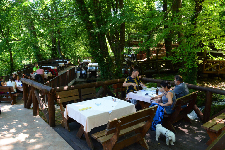 Food & Drinks 5, Garni Hotel Vila Drina, Bajina Bašta