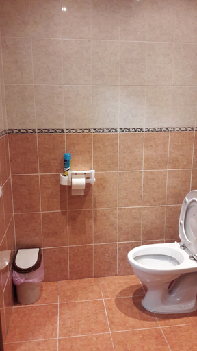Bathroom 3, Stolichnaya Hotel, Central