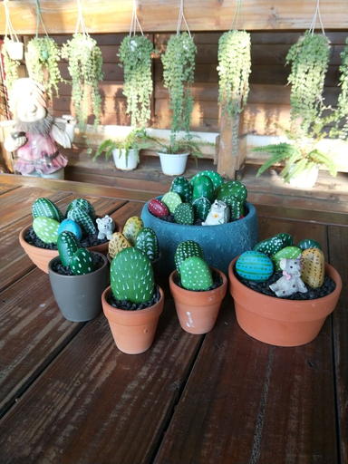 Food & Drinks 4, Garden Life Homestay, Taichung