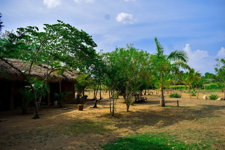 Others 5, Lotus Chalets Eco Hotel, Sooriyawewa