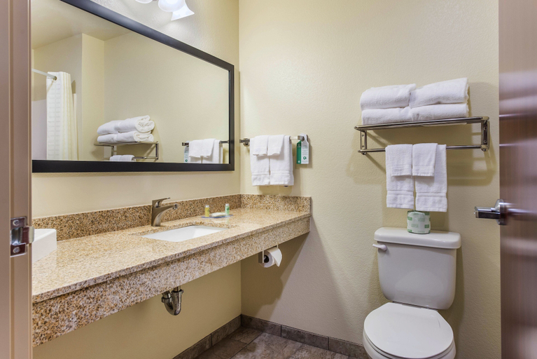 Bathroom 5, Cobblestone Hotel & Suites - Hutchinson, McLeod