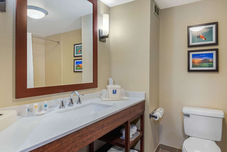 Bathroom 4, Comfort Inn & Suites Big Spring, Howard