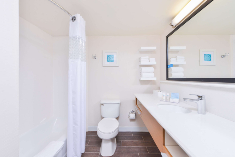 Bathroom 4, Hampton Inn Vero Beach, Indian River