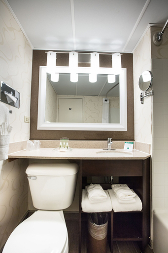 Bathroom 4, Wyndham Rochester Downtown, Monroe