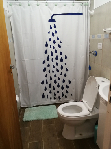 Bathroom, Faro Azul Villa Pehuenia, Aluminé