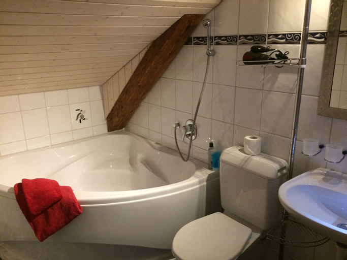 Bedroom 5, Historic Hotel Steinbock, Interlaken