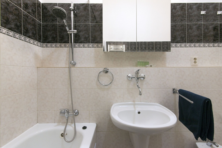 Bathroom 3, Central 3 Bedroom Home near National Museum, Praha 1