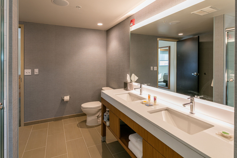 Bathroom 4, Hyatt Place Wilmington Riverfront, New Castle