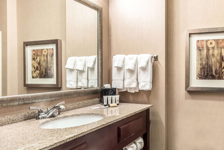 Bathroom 3, Red Lion Inn & Suites Mineral Wells, Parker