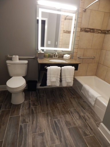 Bathroom 4, Hotel Finial, BW Premier Collection, Calhoun
