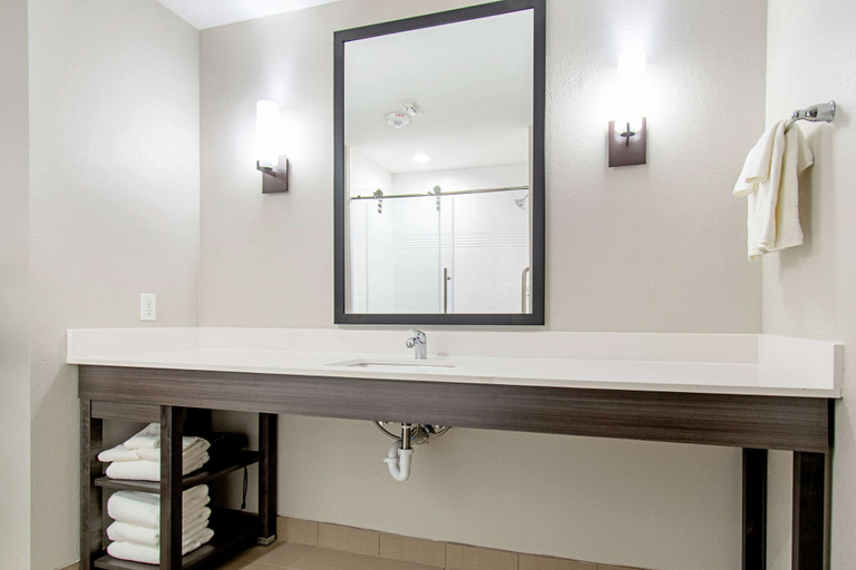Bathroom 4, Comfort Suites Humble Houston IAH, Houston