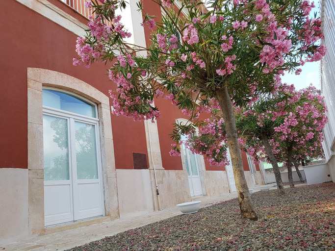 Exterior & Views 2, Dimora D'Amato, Bari