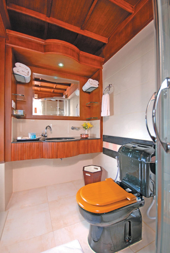 Bathroom 4, Sterling Luxury Houseboat, Alleppey, Alappuzha
