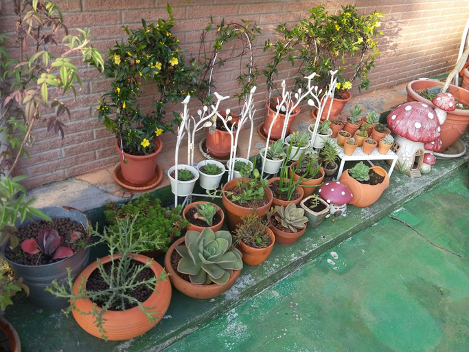 Others 5, Garden Life Homestay, Taichung