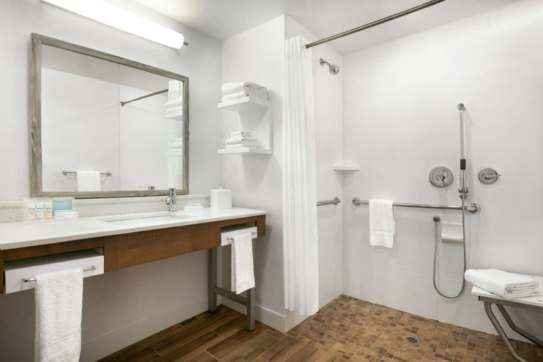 Bathroom 4, Hampton Inn & Suites Johns Creek, Fulton