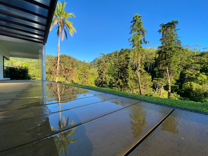 Sport & Beauty, Arte de Plumas birding lodge, Turrialba