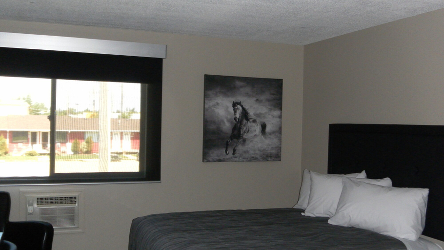 Bedroom 3, Stampeder Inn, Division No. 8