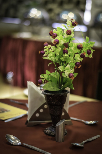 Food & Drinks 4, Shree Mohan Villas- Heritage Hotel, Jodhpur