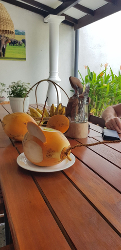Food & Drinks 5, Ranil Villa, Hikkaduwa