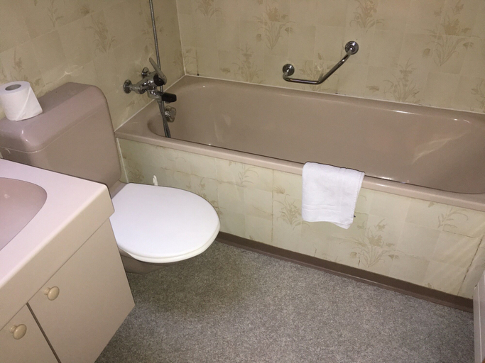 Bathroom 5, Historic Hotel Steinbock, Interlaken