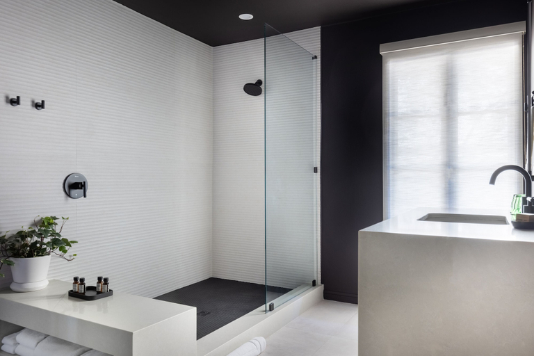 Bathroom 5, La Colombe d'Or Hotel, Houston