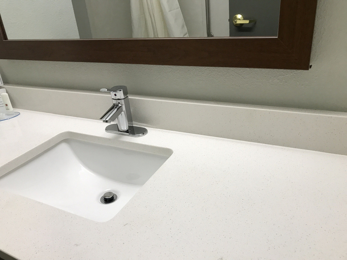 Bathroom 4, Clarion Inn near Lookout Mountain, Hamilton