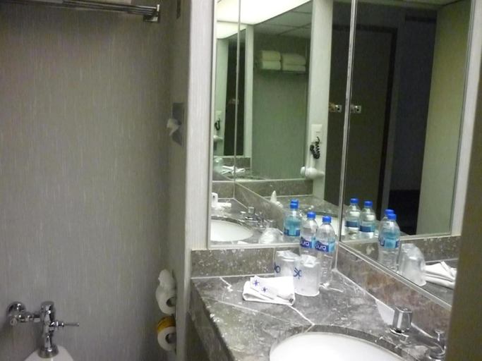 Bathroom 4, Bristol Hotel, Mexico City