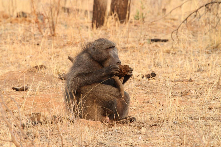 Food & Drinks, Inzalo Safari Lodge, Waterberg